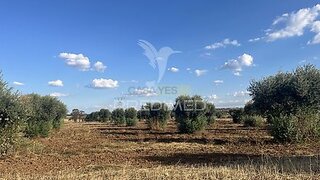 Land for sale in Ferreira do Alentejo, Portugal — €42,000