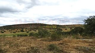 Land for sale in Reguengos de Monsaraz, Portugal — €65,000