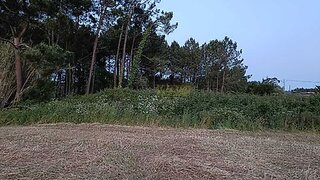 Land for sale in Alcobaça, Portugal — €85,000