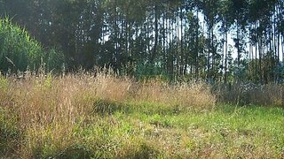Land for sale in Ílhavo, Portugal — €84,000