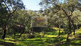 Land for sale in Santiago do Cacém, Portugal — €80,000