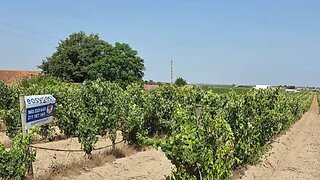 Land for sale in Palmela, Portugal — €345,000
