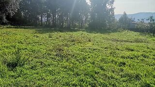Land for sale in Vila Nova de Famalicão, Portugal — €86,000