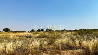 Land for sale in Idanha-a-Nova, Portugal — €11,500