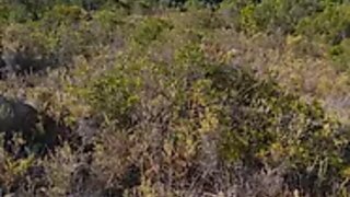 Land for sale in Loulé, Portugal — €15,000