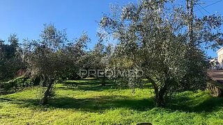 Land for sale in Abrantes, Portugal — €24,000