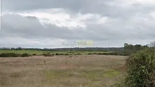 Land for sale in Idanha-a-Nova, Portugal — €78,000