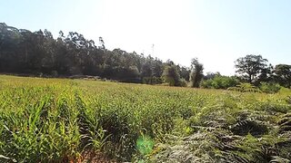 Terreno em Esposende