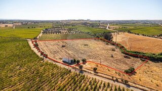 Land for sale in Reguengos de Monsaraz, Portugal — €73,000