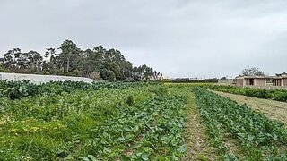 Terreno de 1463 m² em Aveiro