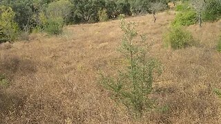Terreno de 1240 m² em Faro