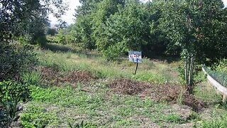 Terreno para venda em Ponte de Lima, Portugal — 42 500 €