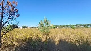 Land for sale in Palmela, Portugal — €62,500