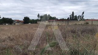 Land for sale in Anadia, Portugal — €65,000
