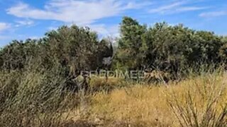 Terreno em Albufeira