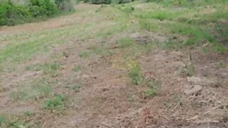 Land for sale in Cadaval, Portugal — €12,500