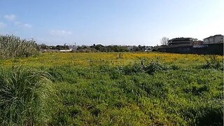 Land for sale in Vila Nova de Gaia, Portugal — €1,350,000