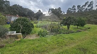 Land for sale in Tomar, Portugal — €40,000