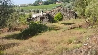 Land for sale in Nelas, Portugal — €60,000