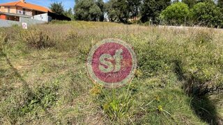 Land for sale in Anadia, Portugal — €75,000