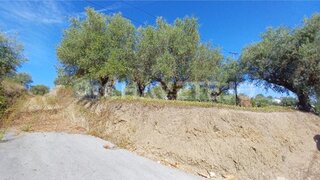Land for sale in Tomar, Portugal — €45,000