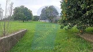 Land for sale in Anadia, Portugal — €41,000