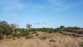 Terreno em Grândola · 48 250 m² · 150 000 €