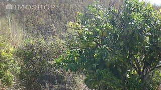 Land for sale in Portimão, Portugal — €400,000