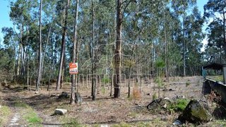 Land for sale in Ponte de Lima, Portugal — €49,000