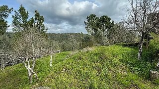 Land for sale in Tomar, Portugal — €4,000