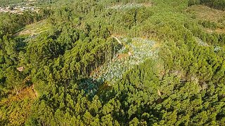 Land for sale in Penalva do Castelo, Portugal — €27,666