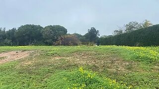Land for sale in Vila do Bispo, Portugal — €240,000