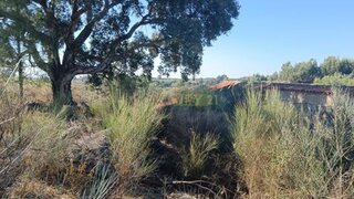 Terreno de 104 250 m² em Castelo Branco