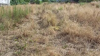 Land for sale in Águeda, Portugal — €210,000