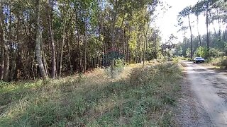 Terreno de 44 183 m² em Viseu