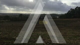 Land for sale in Anadia, Portugal — €250,000