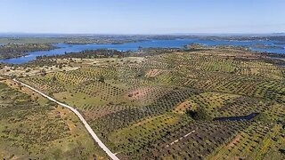 Terreno em Portel