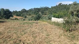 Land for sale in Fundão, Portugal — €20,000