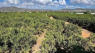 Terreno de 19 778 m² em Faro