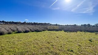 Land for sale in Vila do Bispo, Portugal — €2,504,500