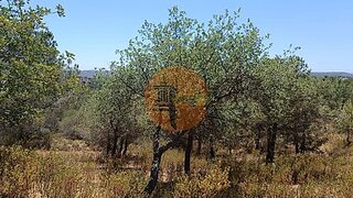 Land for sale in Castro Marim, Portugal — €11,900