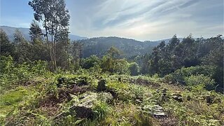 Land for sale in Vieira do Minho, Portugal — €18,000