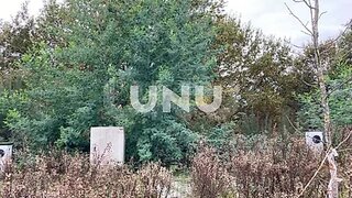 Terreno de 260 m² em Viseu