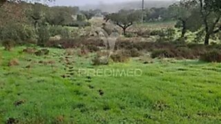 Land for sale in Alandroal, Portugal — €31,150