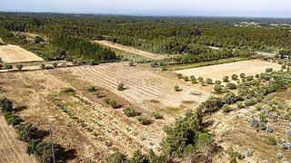 Land for sale in Montemor-o-Velho, Portugal — €12,500