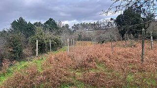 Land for sale in Gondomar, Portugal — €95,000