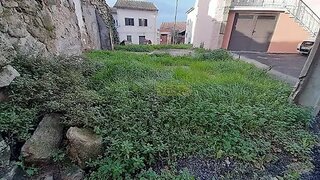Land for sale in Tondela, Portugal — €13,750