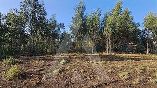 Land for sale in Oliveira do Bairro, Portugal — €19,000