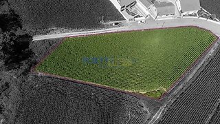 Land for sale in Vila do Conde, Portugal — €275,000