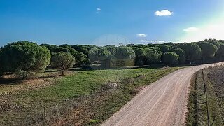 Land for sale in Benavente, Portugal — €175,000